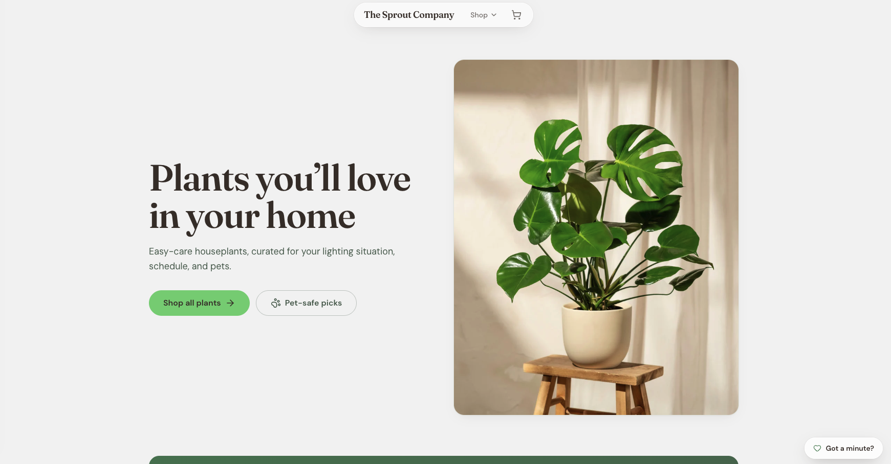 An ecommerce website